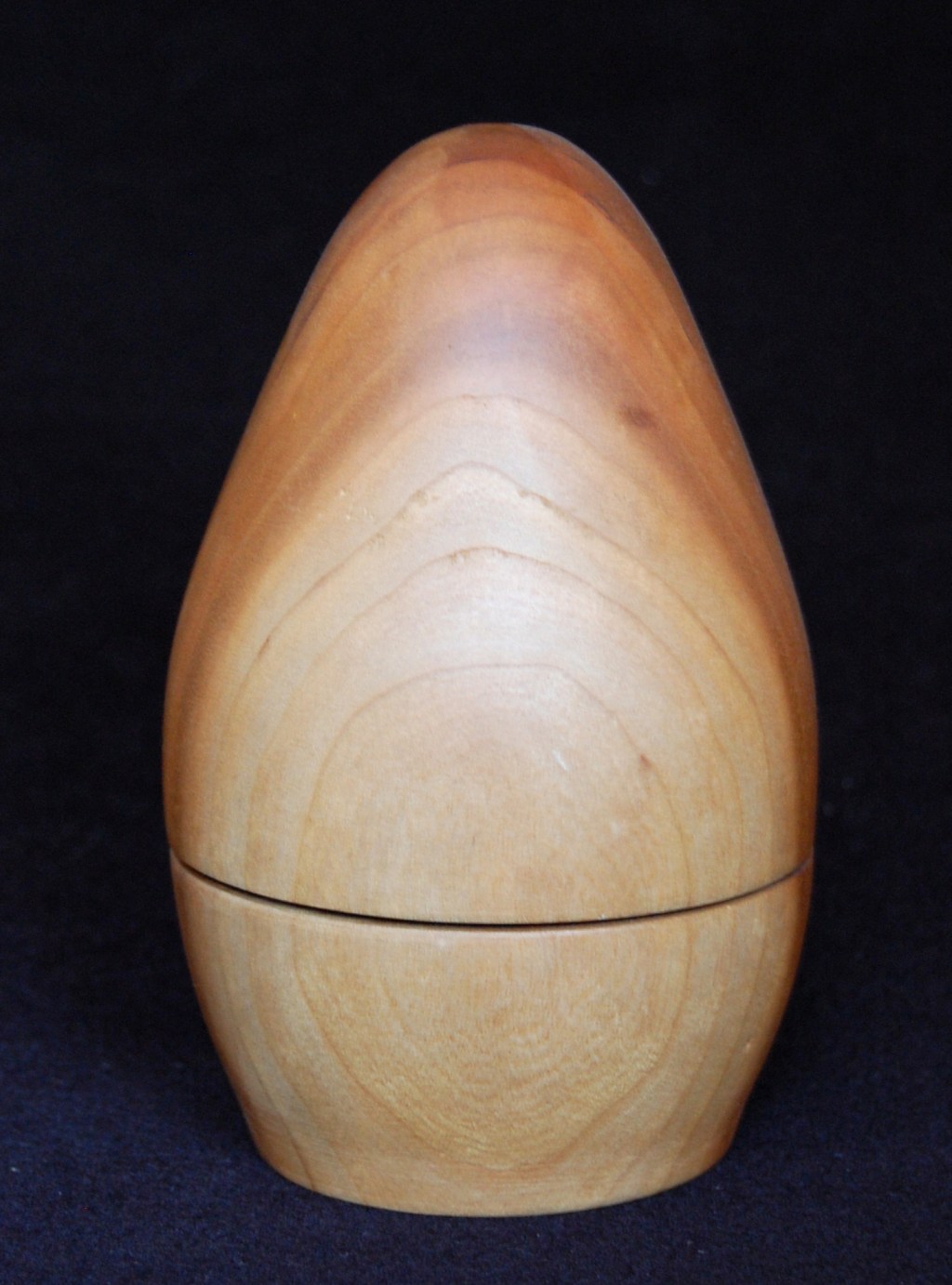 My book, Life&nbsp;Cycle