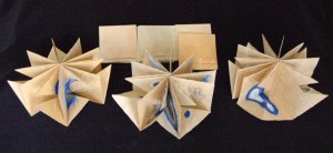 Sex Lives of Animals without Backbones, a series of seven books